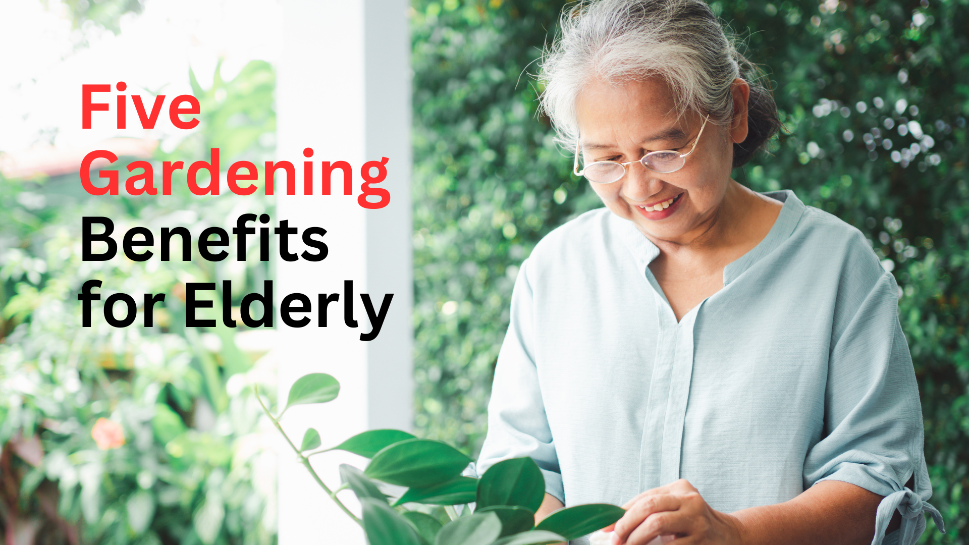Five Gardening Benefits for Elderly